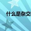 什么是雜交瘤細胞（雜交瘤細胞是什么）
