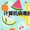 計算機病毒的危害（計算機病毒的危害是什么）