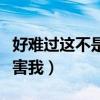 好難過這不是我要的結果什么歌（不要再來傷害我）