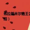 弗拉基米爾諸王公的故事（關于弗拉基米爾諸王公的故事介紹）