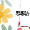 思想潔癖（關于思想潔癖介紹）