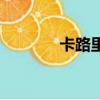 卡路里歌詞（卡路里歌簡介）