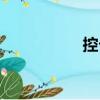 控卡（關于控卡簡介）