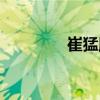 崔猛勝（關于崔猛勝簡介）