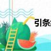 引條線（關于引條線介紹）