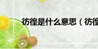 彷徨是什么意思(彷徨簡單釋義)