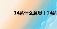 14薪什么意思(14薪簡單介紹)