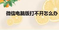 微信電腦版打不開怎么辦(如何解決呢)