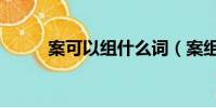 案可以組什么詞(案組詞有哪些)