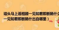 墻頭馬上遙相顧一見知君即斷腸什么意思(墻頭馬上遙相顧一見知君即斷腸什出自哪里)