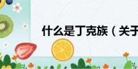什么是丁克族(關于丁克族)