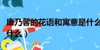 康乃馨的花語和寓意是什么(康乃馨的花語是什么)