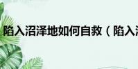 陷入沼澤地如何自救(陷入沼澤地自救技巧)