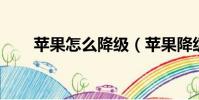 蘋果怎么降級(蘋果降級 怎么操作)