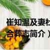 崔知溫及妻杜德合葬志（關于崔知溫及妻杜德合葬志簡介）