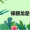 保麗龍是什么意思（保麗龍的簡介）