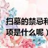 掃墓的禁忌和注意事項（掃墓的禁忌和注意事項是什么呢）
