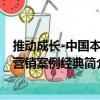 推動成長-中國本土營銷案例經典（關于推動成長-中國本土營銷案例經典簡介）