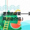 思想的凝聚——延安整風運動（關于思想的凝聚——延安整風運動介紹）