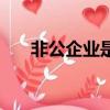 非公企業是什么意思（非公企業解釋）