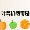 計算機病毒是一種什么（計算機病毒的介紹）
