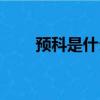 預科是什么意思（預科意思是什么）