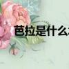 芭拉是什么水果（關于芭拉水果的介紹）
