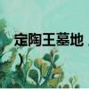 定陶王墓地 王陵（關于定陶王墓地 王陵介紹）