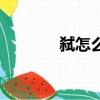 弒怎么讀音（表示什么意思）