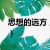 思想的遠方 上下（關于思想的遠方 上下介紹）