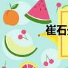 崔石光（關于崔石光簡介）