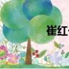 崔紅一（關于崔紅一簡介）