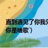 直到遇見了你我只喜歡你是什么歌（直到遇見了你我只喜歡你是啥歌）