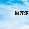 厄齊爾事件（厄齊爾事件簡述）