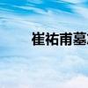 崔祐甫墓志（關于崔祐甫墓志簡介）