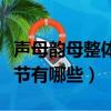 聲母韻母整體認讀音節（聲母韻母整體認讀音節有哪些）