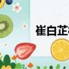 崔白芷村（關于崔白芷村簡介）