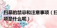 掃墓的禁忌和注意事項(掃墓的禁忌和注意事項是什么呢)