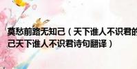 莫愁前路無知己(天下誰人不識君的意思作者 莫愁前路無知己天下誰人不識君詩句翻譯)