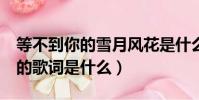 等不到你的雪月風花是什么歌(《后會無期》的歌詞是什么)
