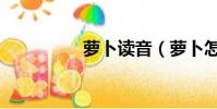 蘿卜讀音(蘿卜怎么讀)