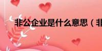 非公企業是什么意思(非公企業解釋)