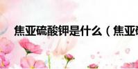 焦亞硫酸鉀是什么(焦亞硫酸鉀的簡述)