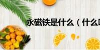 永磁鐵是什么(什么叫永磁鐵)