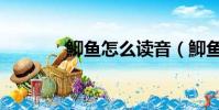 鮣魚怎么讀音(鮣魚怎么讀)