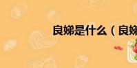 良娣是什么(良娣資料)