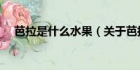 芭拉是什么水果(關于芭拉水果的介紹)