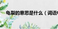 龜裂的意思是什么(詞語龜裂什么意思)