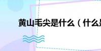 黃山毛尖是什么(什么是黃山毛尖)