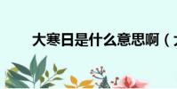 大寒日是什么意思啊(大寒日含義)